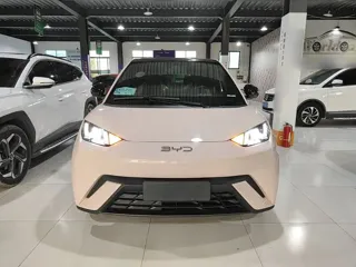 BYD Seagull 2024 купить из Китая, цена 1 345 000 ₽ — Suifenhe Auto