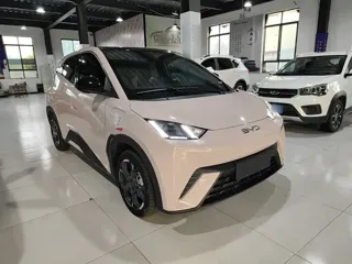 BYD Seagull 2024 купить из Китая, цена 1 345 000 ₽ — Suifenhe Auto