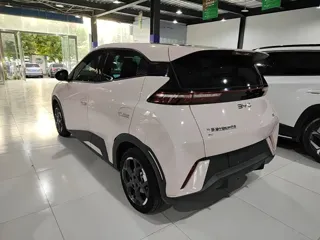 BYD Seagull 2024 купить из Китая, цена 1 345 000 ₽ — Suifenhe Auto