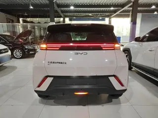 BYD Seagull 2024 купить из Китая, цена 1 345 000 ₽ — Suifenhe Auto