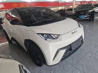 BYD Seagull 2024 купить из Китая, цена 1 231 000 ₽ — Suifenhe Auto