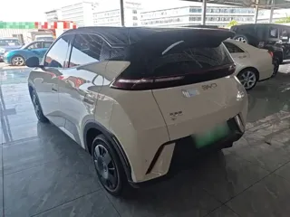 BYD Seagull 2024 купить из Китая, цена 1 231 000 ₽ — Suifenhe Auto