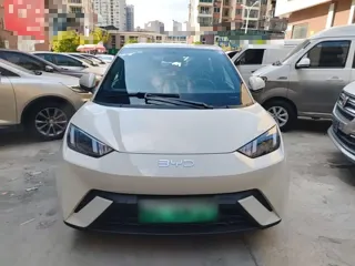 BYD Seagull 2025 купить из Китая, цена 1 425 000 ₽ — Suifenhe Auto