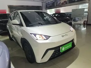 BYD Seagull 2024 купить из Китая, цена 1 253 000 ₽ — Suifenhe Auto