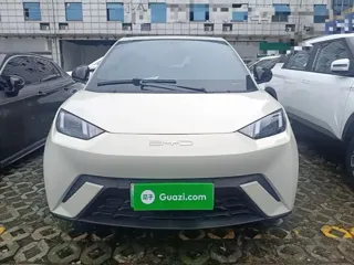 BYD Seagull 2024 купить из Китая, цена 1 328 000 ₽ — Suifenhe Auto