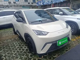BYD Seagull 2024 купить из Китая, цена 1 328 000 ₽ — Suifenhe Auto