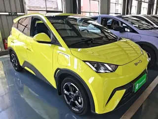 BYD Seagull 2023 купить из Китая, цена 1 314 000 ₽ — Suifenhe Auto