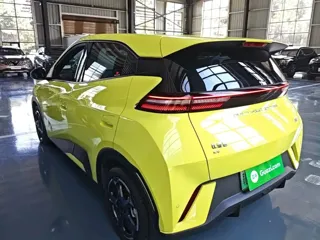 BYD Seagull 2023 купить из Китая, цена 1 314 000 ₽ — Suifenhe Auto