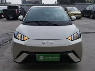 BYD Seagull 2025 купить из Китая, цена 1 391 000 ₽ — Suifenhe Auto