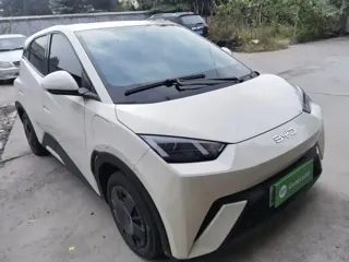 BYD Seagull 2025 купить из Китая, цена 1 391 000 ₽ — Suifenhe Auto