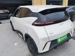 BYD Seagull 2025 купить из Китая, цена 1 391 000 ₽ — Suifenhe Auto