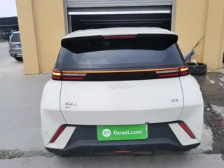 BYD Seagull 2025 купить из Китая, цена 1 391 000 ₽ — Suifenhe Auto