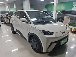 BYD Seagull 2024 купить из Китая, цена 1 319 000 ₽ — Suifenhe Auto