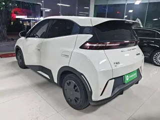 BYD Seagull 2024 купить из Китая, цена 1 319 000 ₽ — Suifenhe Auto