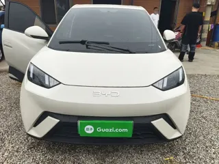 BYD Seagull 2024 купить из Китая, цена 1 328 000 ₽ — Suifenhe Auto