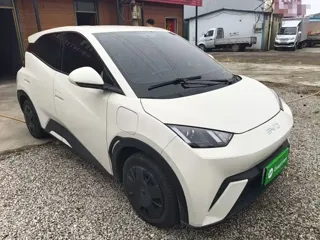 BYD Seagull 2024 купить из Китая, цена 1 328 000 ₽ — Suifenhe Auto