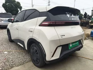 BYD Seagull 2024 купить из Китая, цена 1 328 000 ₽ — Suifenhe Auto