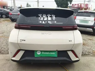 BYD Seagull 2024 купить из Китая, цена 1 328 000 ₽ — Suifenhe Auto