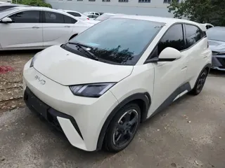 BYD Seagull 2023 купить из Китая, цена 1 193 000 ₽ — Suifenhe Auto