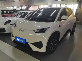 BYD Seagull 2025 купить из Китая, цена 1 433 000 ₽ — Suifenhe Auto
