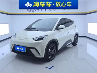 BYD Seagull 2025 купить из Китая, цена 1 381 000 ₽ — Suifenhe Auto
