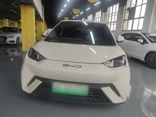 BYD Seagull 2024 купить из Китая, цена 1 337 000 ₽ — Suifenhe Auto