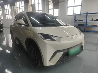 BYD Seagull 2024 купить из Китая, цена 1 337 000 ₽ — Suifenhe Auto