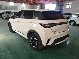 BYD Dolphin 2023 купить из Китая, цена 1 362 000 ₽ — Suifenhe Auto