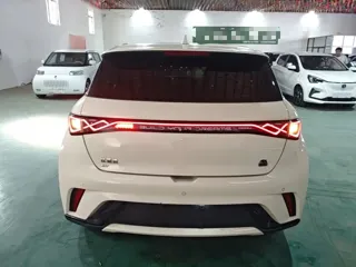 BYD Dolphin 2023 купить из Китая, цена 1 362 000 ₽ — Suifenhe Auto