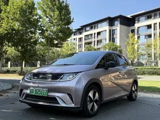 BYD Dolphin 2023 купить из Китая, цена 1 383 000 ₽ — Suifenhe Auto
