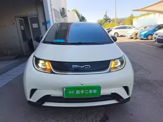 BYD Dolphin 2023 купить из Китая, цена 1 492 000 ₽ — Suifenhe Auto