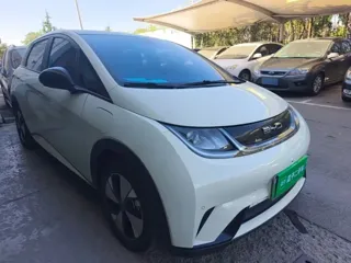 BYD Dolphin 2023 купить из Китая, цена 1 492 000 ₽ — Suifenhe Auto