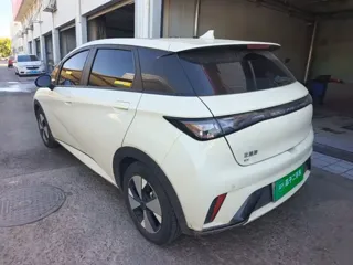 BYD Dolphin 2023 купить из Китая, цена 1 492 000 ₽ — Suifenhe Auto