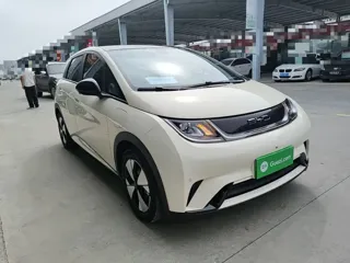 BYD Dolphin 2024 купить из Китая, цена 1 600 000 ₽ — Suifenhe Auto