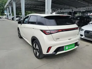 BYD Dolphin 2024 купить из Китая, цена 1 600 000 ₽ — Suifenhe Auto