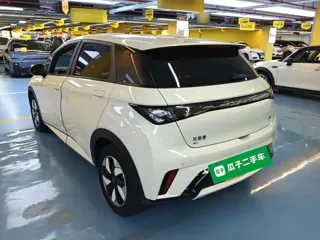 BYD Dolphin 2025 купить из Китая, цена 1 749 000 ₽ — Suifenhe Auto