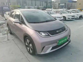 BYD Dolphin 2022 купить из Китая, цена 3 098 000 ₽ — Suifenhe Auto