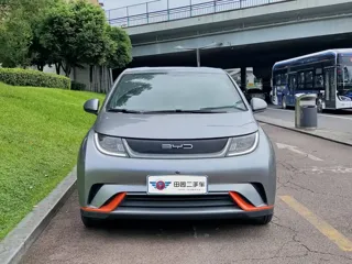 BYD Dolphin 2022 купить из Китая, цена 1 343 000 ₽ — Suifenhe Auto