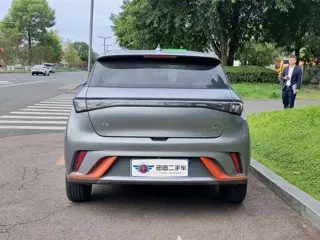 BYD Dolphin 2022 купить из Китая, цена 1 343 000 ₽ — Suifenhe Auto