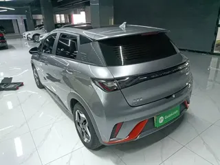 BYD Dolphin 2022 купить из Китая, цена 1 433 000 ₽ — Suifenhe Auto