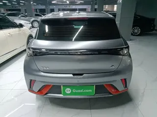 BYD Dolphin 2022 купить из Китая, цена 1 433 000 ₽ — Suifenhe Auto