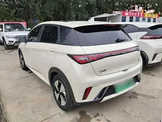 BYD Dolphin 2024 купить из Китая, цена 1 693 000 ₽ — Suifenhe Auto
