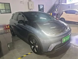 BYD Dolphin 2023 купить из Китая, цена 3 331 000 ₽ — Suifenhe Auto