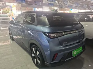 BYD Dolphin 2023 купить из Китая, цена 3 331 000 ₽ — Suifenhe Auto