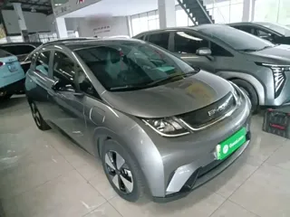 BYD Dolphin 2023 купить из Китая, цена 1 488 000 ₽ — Suifenhe Auto