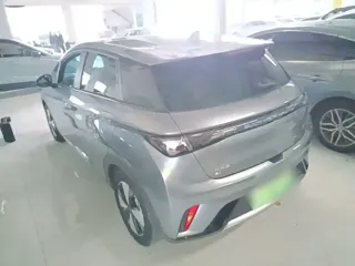 BYD Dolphin 2023 купить из Китая, цена 1 488 000 ₽ — Suifenhe Auto