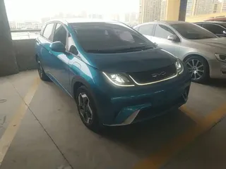 BYD Dolphin 2022 купить из Китая, цена 1 506 000 ₽ — Suifenhe Auto