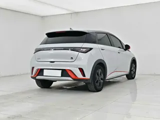 BYD Dolphin 2022 купить из Китая, цена 1 372 000 ₽ — Suifenhe Auto
