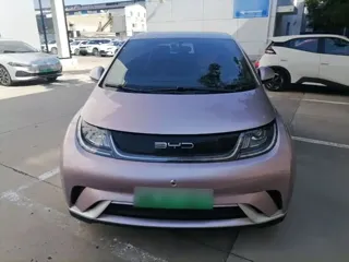 BYD Dolphin 2022 купить из Китая, цена 1 564 000 ₽ — Suifenhe Auto