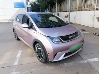 BYD Dolphin 2022 купить из Китая, цена 1 564 000 ₽ — Suifenhe Auto